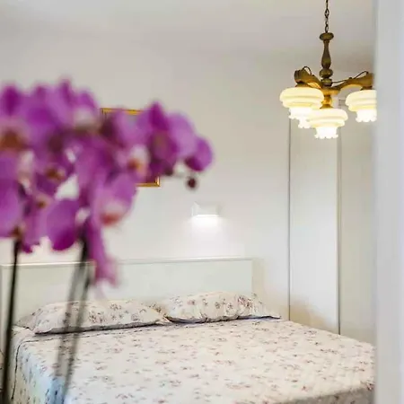 In 39105 Apartman